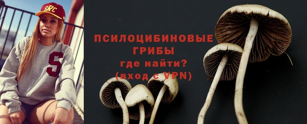 PSILOCYBIN Богородицк